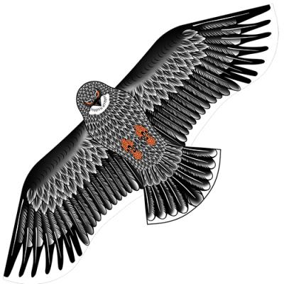 2439 Black eagle kite