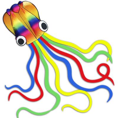 2371-1 Rainbow Octopus Kite 