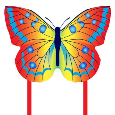 2410-1 Rainbow Butterfly Kite