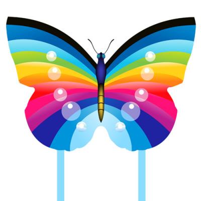 2385 Rainbow bubble butterfly kite