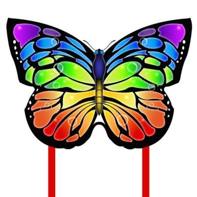 2317 Rainbow Butterfly Kite