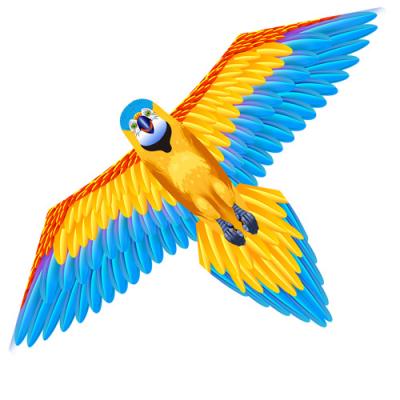 2443 Parrot Kite