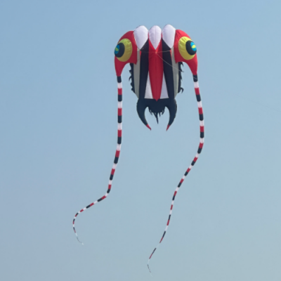 2401 Trilobite Inflatable Kite
