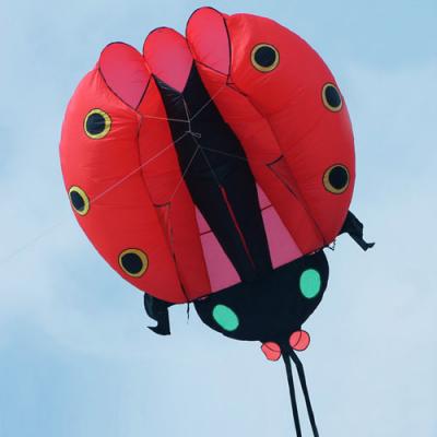 2404 Ladybug Inflatable Kite