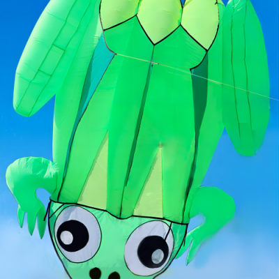 2403 Frog Inflatable Kite